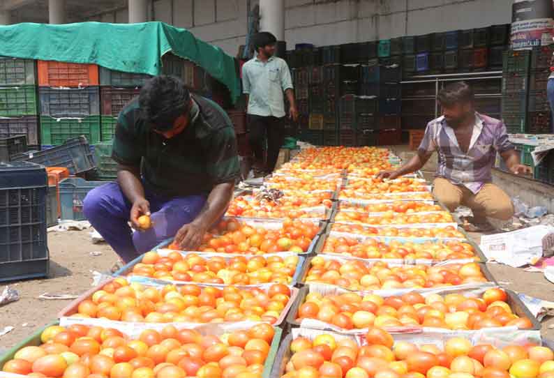 கோவையில் தக்காளி விலை கிடு, கிடு உயர்வு