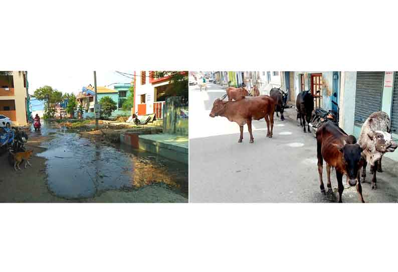 தினத்தந்தி புகார் பெட்டி