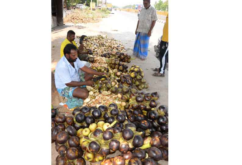 சூடு பிடித்த நுங்கு விற்பனை