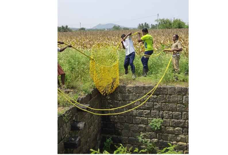 போடி அருகே கிணற்றில் விழுந்த நாய்கள் மீட்பு