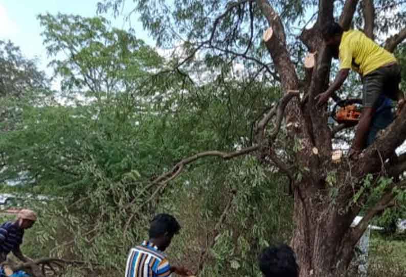 தினத்தந்தி செய்தி எதிரொலி; பஸ் போக்குவரத்துக்கு இடையூறாக இருந்த மரக்கிளைகள் அகற்றம்