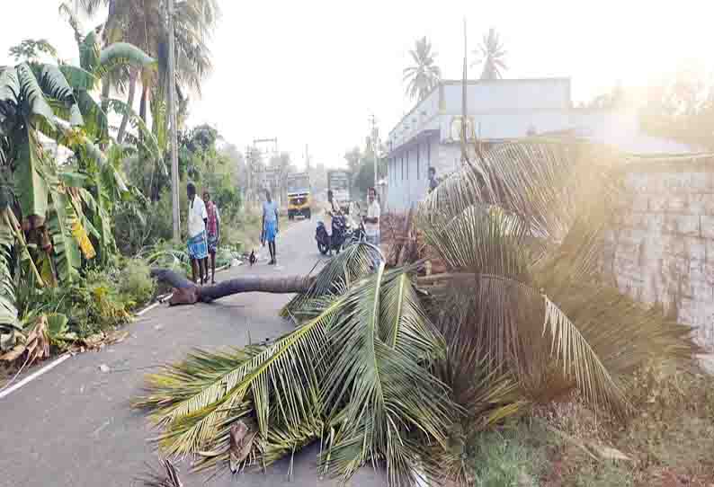 சிவகிரி அருகே சூறாவளி காற்றுடன் ஆலங்கட்டி மழை; 2 ஏக்கரில் வாழைகள் சாய்ந்தன