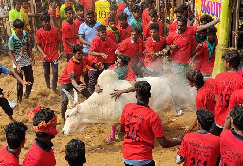 கீழையூரில் ஜல்லிக்கட்டு போட்டி - 694 காளைகள் பங்கேற்பு...!