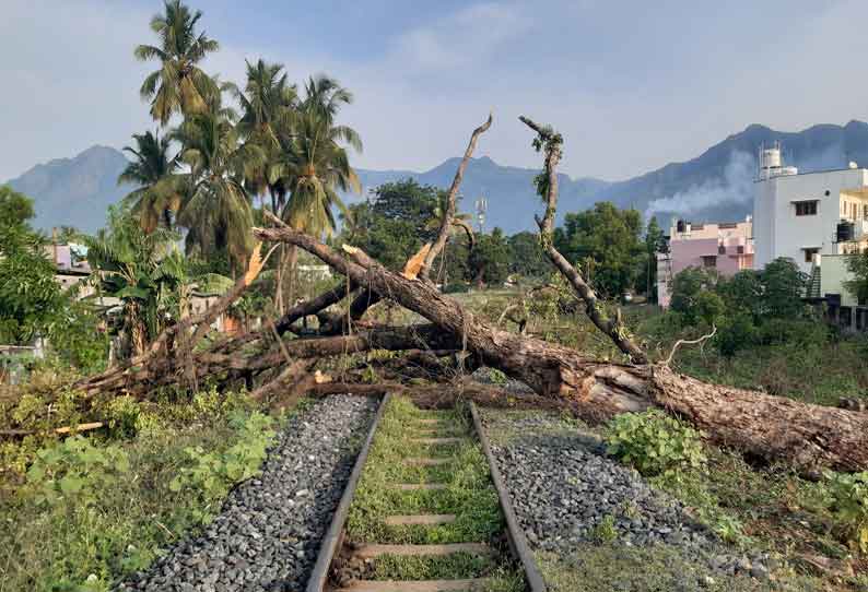 ஊட்டி  மலைரெயில் பாதையில் மரங்கள் விழுந்தது