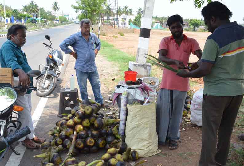 நாமக்கல்லில்  நுங்கு விற்பனை மும்முரம்