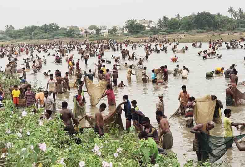 தொட்டியம்பட்டி, கட்டக்குடி  கண்மாய்களில் மீன்பிடி திருவிழா