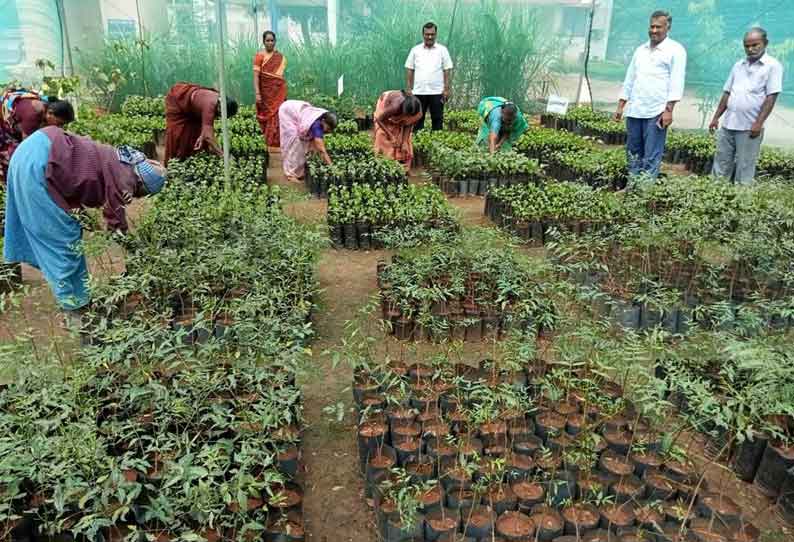 நாற்றுப்பண்ணையை விரிவுபடுத்த திட்டமிடப்பட்டு முதல்கட்ட பணிகள்