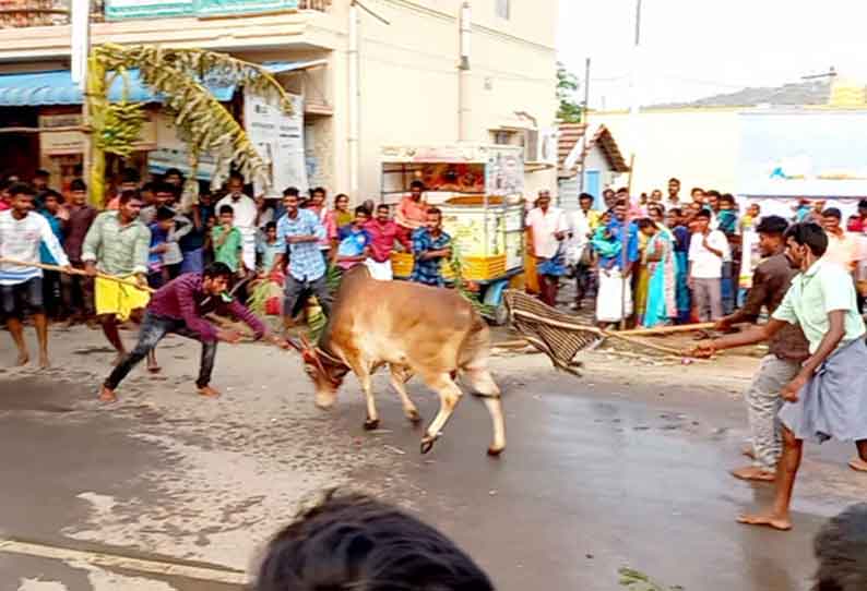 எருதாட்ட விழா