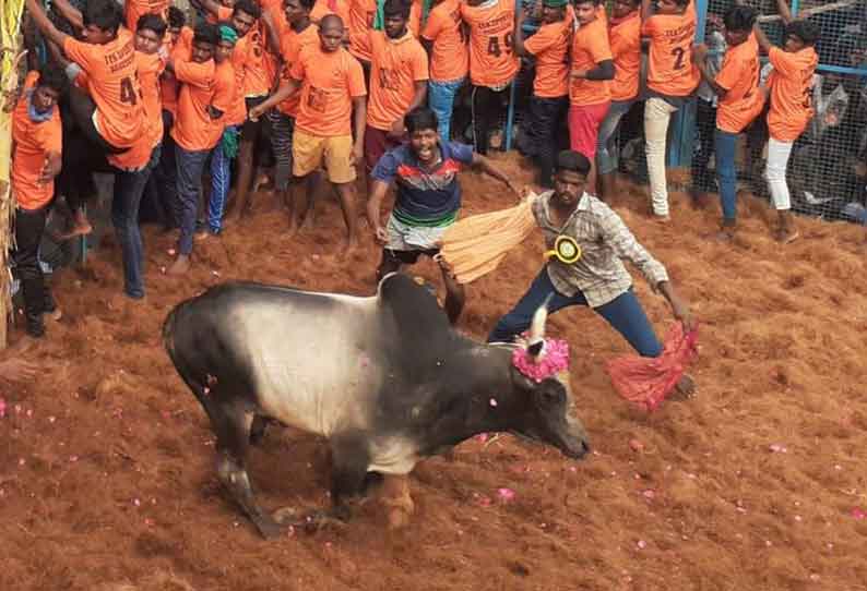 திருவெறும்பூர் அருகே நடந்த ஜல்லிக்கட்டில் காளைகள் முட்டியதில் 21 பேர் காயம்