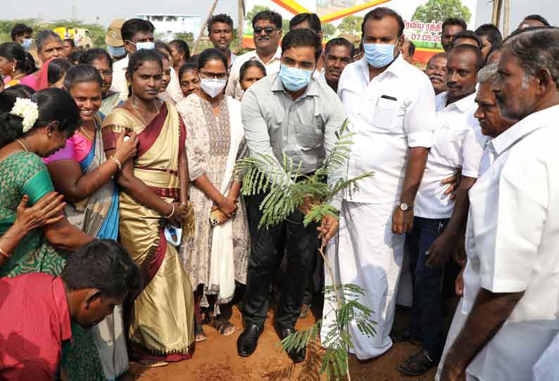 தூத்துக்குடி மாநகராட்சியில் மரக்கன்று நடும் விழா; கலெக்டர் தொடங்கி வைத்தார்