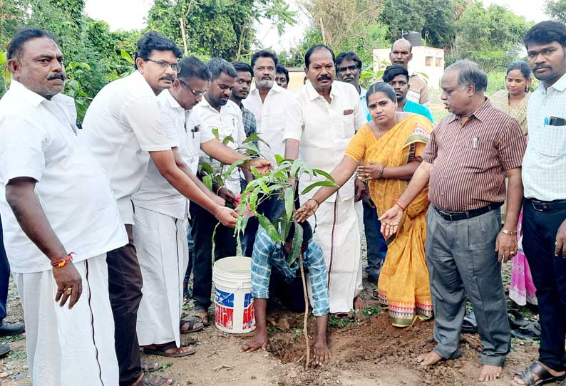 100 மரக்கன்றுகள் நடும் நிகழ்ச்சி