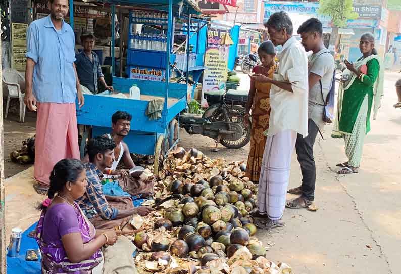 பனை நுங்கு விற்பனை அமோகம்