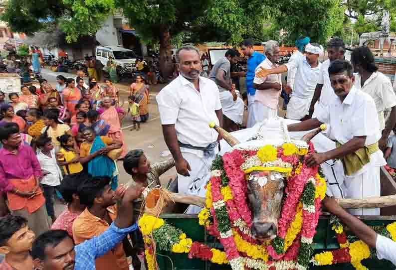 வாகன விபத்தில் கோவில் காளை சாவு