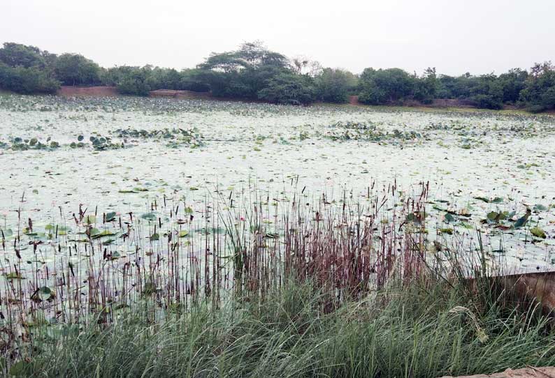 மாசடைந்த கார்க்குட்டை ஏரியை தூர்வார வேண்டும்