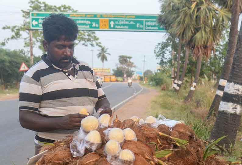 தஞ்சையில் தேங்காய் பூ விற்பனை அமோகம்