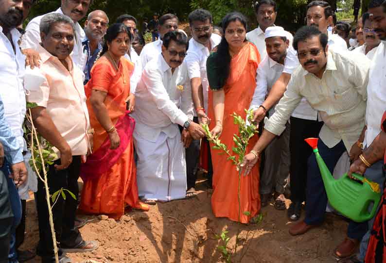 திமுக ஓராண்டு சாதனையையொட்டி 1000 மரக்கன்றுகள் நடும் பணி தொடக்கம்