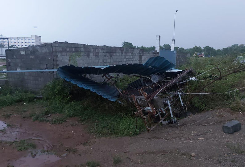 காரிமங்கலம் அருகே சூறாவளி காற்றுடன் கனமழை; மரங்கள், மின் கம்பங்கள் முறிந்து சேதம்