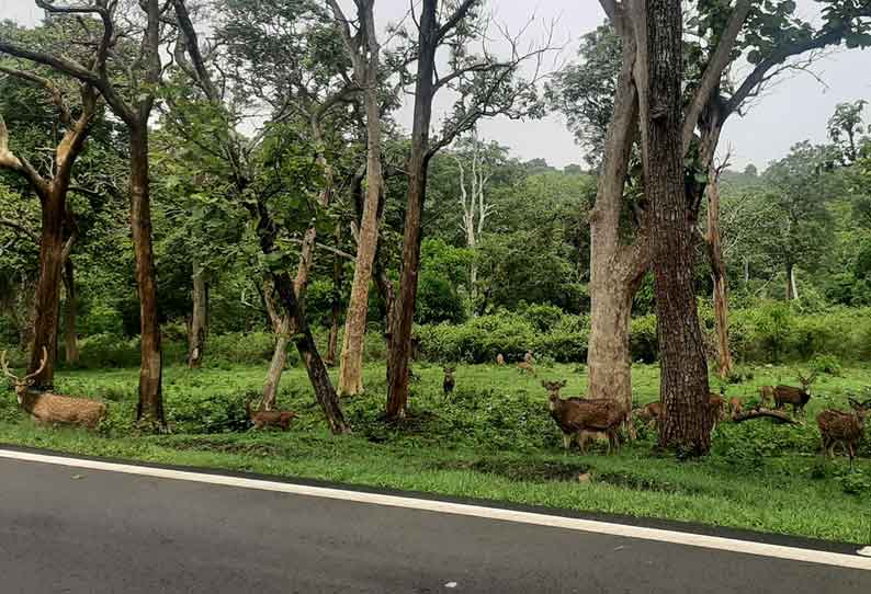 பருவமழைக்கு முந்தைய வனவிலங்குகள் கணக்கெடுப்பு