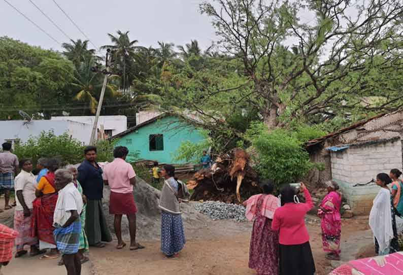 கோவையில் லேசான மழை பெய்தது. சூறாவளி காற்று காரணமாக மரம் விழுந்ததில் 4 வீடுகள் சேதமானது. 3 பேர் படுகாயம் அடைந்தனர்