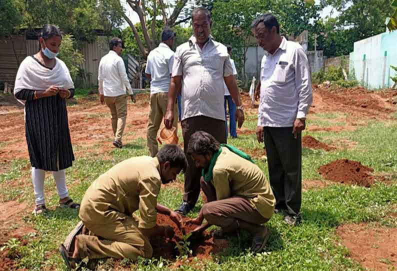 பொள்ளாச்சி ஜோதி நகர் பறவைகள் பூங்காவில் பழ மரக் கன்றுகள் நடப்பட்டன