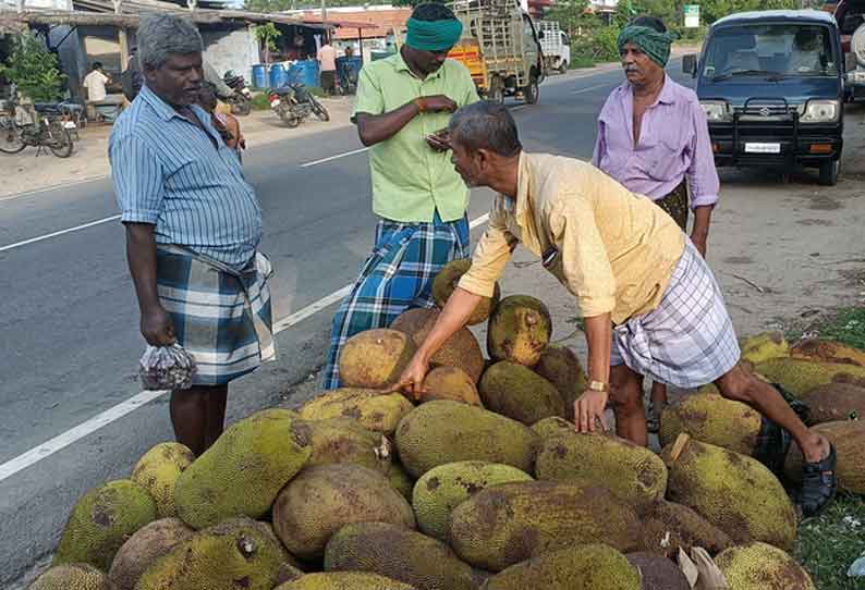 பலாப்பழம் விற்பனை அமோகம்