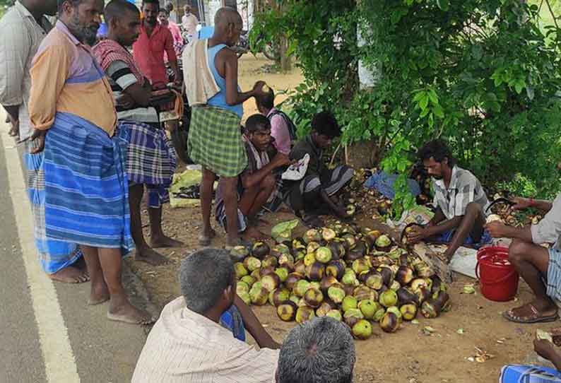 நுங்கு விற்பனை மும்முரம்