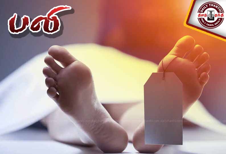 பனை மரத்தில் இருந்து தவறி விழுந்து தொழிலாளி பலி