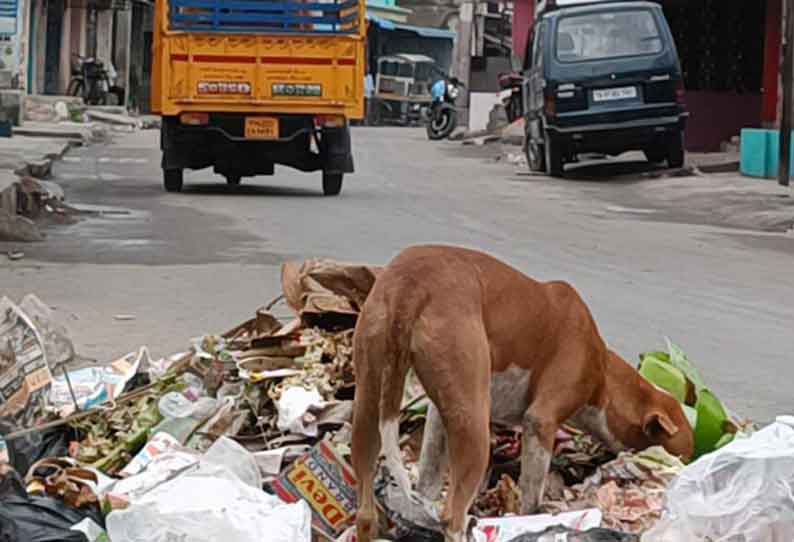 சாலையோரம் கொட்டப்படும் குப்பைகளால் சுகாதார சீர்கேடு