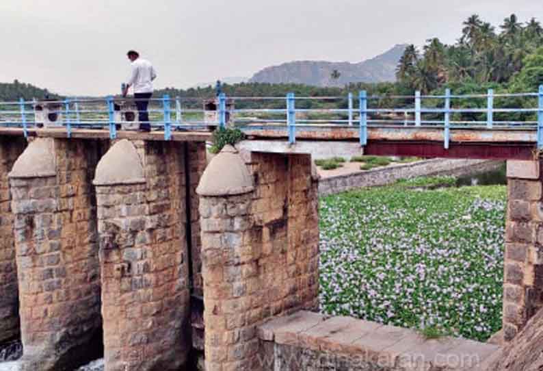 காவேரிப்பட்டணம் அருகே நெடுங்கல் தடுப்பணை மதகுகளில் நீர்கசிவு விவசாயிகள் கவலை