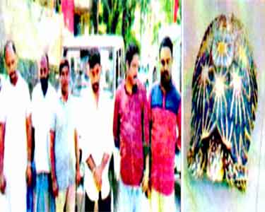 நட்சத்திர ஆமை கடத்தல்: வேடசந்தூரை சேர்ந்தவர் உள்பட 6 பேர் கைது 4 பேருக்கு வலைவீச்சு