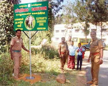 காட்டு யானைகள் நடமாட்டம் உள்ள இடங்களில் வனத்துறை சார்பில் எச்சரிக்கை பலகை