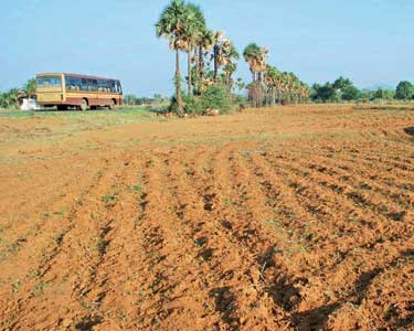 பேரையூர் பகுதிகளில் மழையின்றி தரிசாக கிடக்கும் மானாவரி விவசாய நிலங்கள்