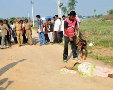 திருவண்ணாமலை அருகே குடும்பத் தகராறில் பெண் அடித்து கொலை தப்பியோடிய கணவருக்கு வலைவீச்சு