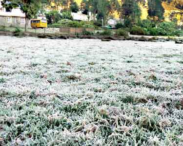 கொடைக்கானலில் நிலவும் உறைபனியால் சுற்றுலா பயணிகள் அவதி