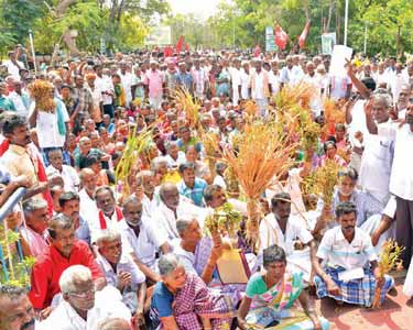 தமிழகத்தை வறட்சி மாநிலமாக அறிவிக்க கோரி தூத்துக்குடி கலெக்டர் அலுவலகத்தை விவசாயிகள் முற்றுகை