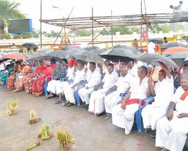 தமிழகத்தை வறட்சி மாநிலமாக அறிவிக்கக்கோரி கலெக்டர் அலுவலகம் முன்பு விவசாயிகள் காத்திருப்பு போராட்டம் காய்ந்த நெற்பயிர்களுடன், கொட்டும் மழையில் குடைபிடித்தவாறு பங்கேற்றனர்