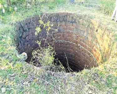 கும்மிடிப்பூண்டி அருகே மாயமான சகோதரிகள் கிணற்றில் பிணமாக கிடந்தனர்