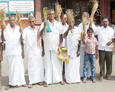 வறட்சியால் பாதிக்கப்பட்ட சோளப்பயிர்களுக்கு நஷ்டஈடு வழங்க வேண்டும் விவசாயிகள் கோரிக்கை