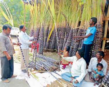 மாவட்டம் முழுவதும், பொங்கல் பண்டிகையையொட்டி பானை–கரும்பு விற்பனை விறுவிறுப்பு