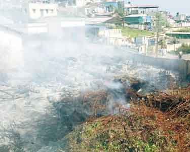 வனத்துறைக்கு சொந்தமான விறகு சேமிப்பு கிடங்கில் தீ விபத்து