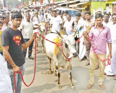 ஜல்லிக்கட்டு விவகாரத்தில் மத்திய, மாநில அரசுகளை கண்டித்து தஞ்சையில் தி.மு.க.வினர் ஆர்ப்பாட்டம்