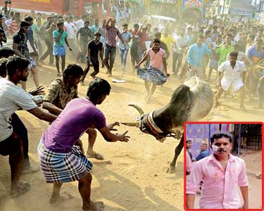 அலங்காநல்லூரில் ஜல்லிக்கட்டு காளைகளுடன் ஊர்வலம் வந்தவர்கள் மீது போலீஸ் தடியடி