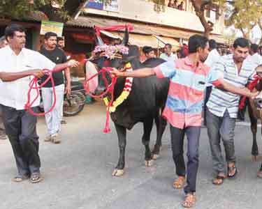 ஈரோடு வில்லரசம்பட்டியில் ஜல்லிக்கட்டு நடத்த முயன்றதால் பரபரப்பு