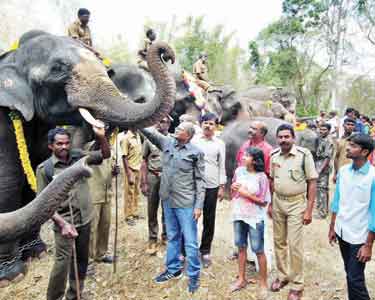 டாப்சிலிப்பில் யானை பொங்கல் கொண்டாட்டம் சுற்றுலா பயணிகள் கண்டுகளித்தனர்