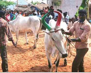 தாராபுரம் அருகே தடையை மீறி ஜல்லிக்கட்டு நடத்த முயன்றதால் பரபரப்பு