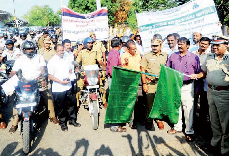 சாலை பாதுகாப்பு வார விழாவையொட்டி ஹெல்மெட் விழிப்புணர்வு பேரணி