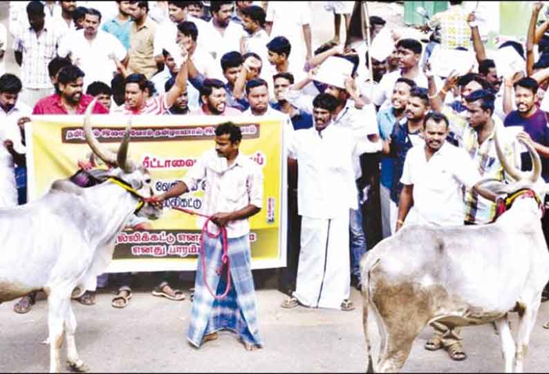 ஜல்லிக்கட்டு நடத்த வலியுறுத்தி மாணவர்கள், இளைஞர்கள் உண்ணாவிரதம்