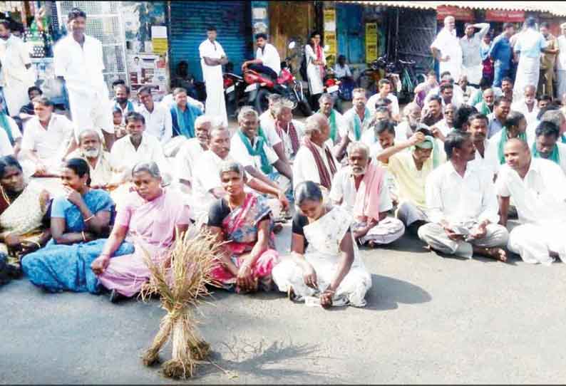 கருகிய நெற்பயிருடன் விவசாயிகள் சாலை மறியல் போராட்டம்