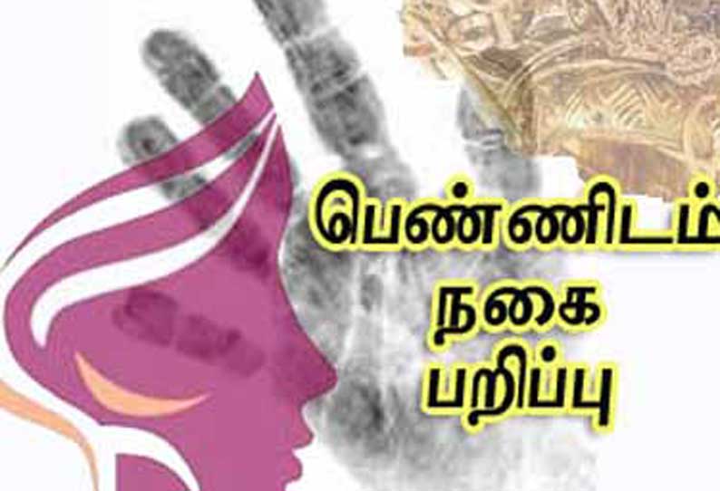 பாளையங்கோட்டை அருகே துணிகரம் வீட்டில் தூங்கிக் கொண்டிருந்த 2 பெண்களிடம் நகை பறிப்பு