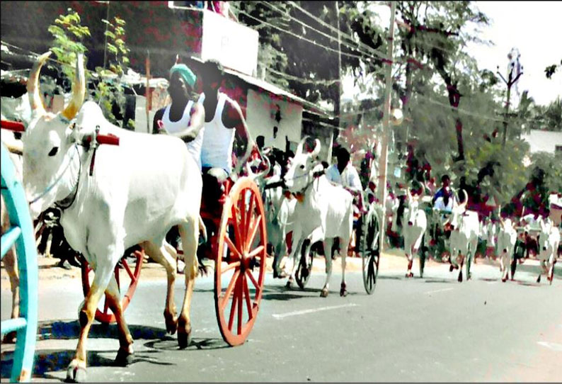 கம்பத்தில் ரேக்ளா பந்தயம்